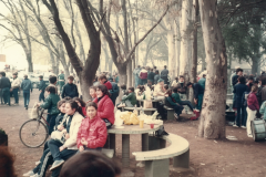 picnic-estudiantes-ok