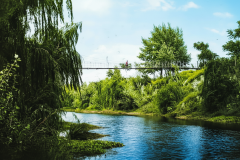 Cauce-frondozo-del-Tapalque_ok